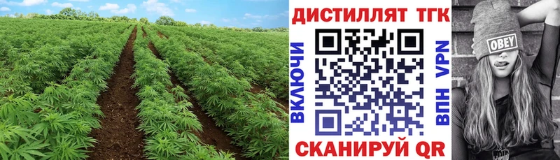 blacksprut как войти Михайловск ТГК вейп с тгк цены